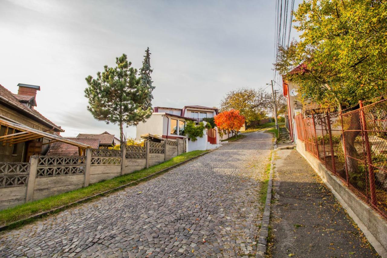 Geppetto'S Studio Braşov Exterior foto